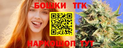 СК Кингисепп