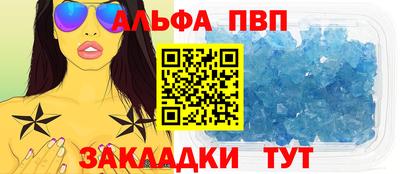 СК Кингисепп