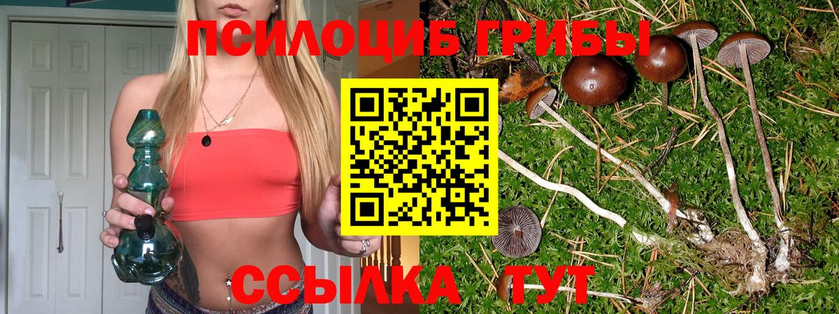 Куйбышев  Псилоцибиновые грибы прущие грибы  купить наркоту  Вход с VPN 