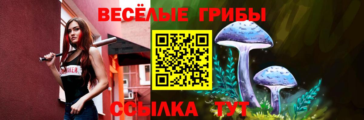 Галлюциногенные грибы GOLDEN TEACHER Куйбышев